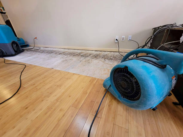 Professional Emergency Water Damage technician working in Rutherford, PA